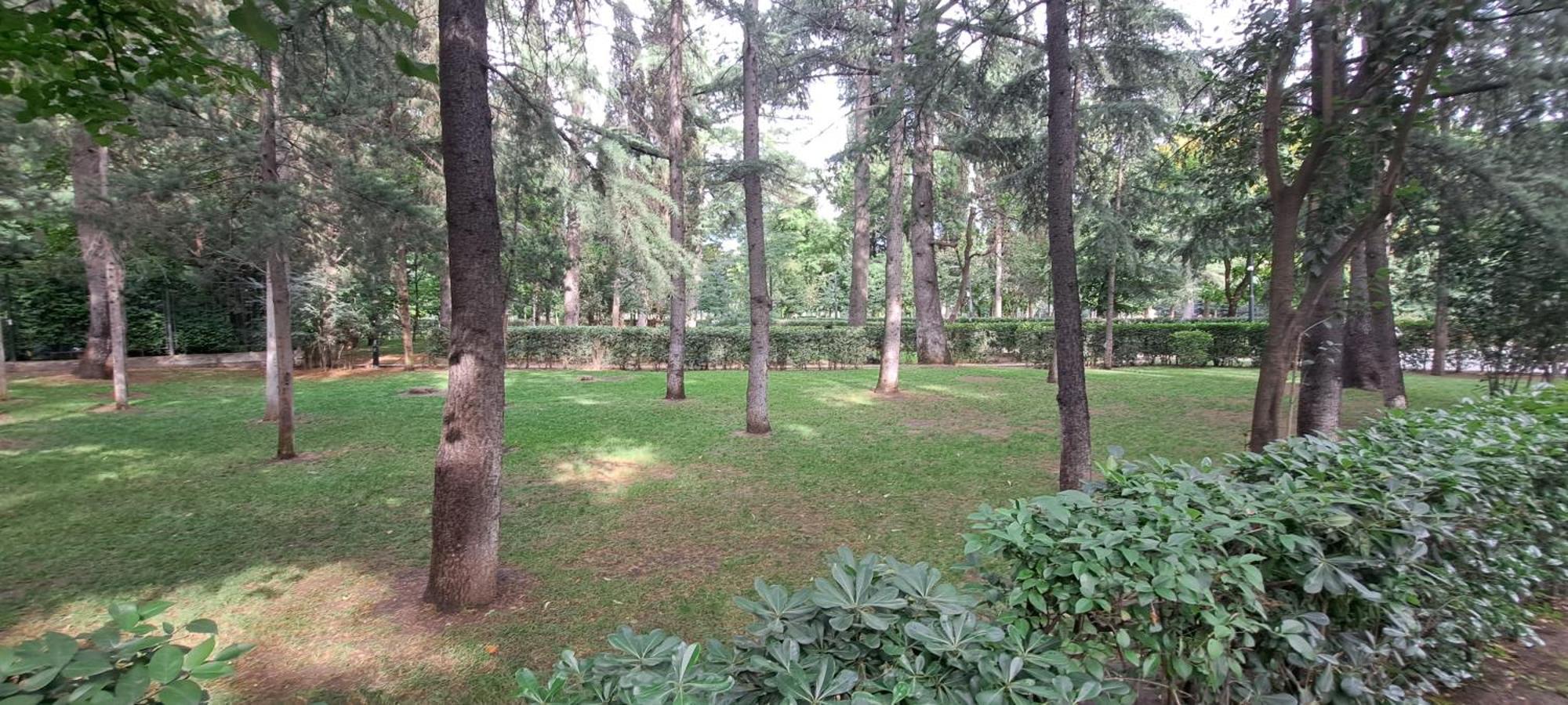 Holidays In Тбілісі Номер фото